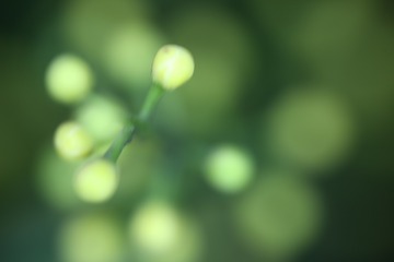1099274