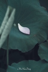 1000675382