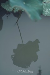 1000675327