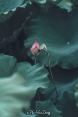 1000675302