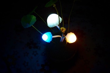 P7192898_edited