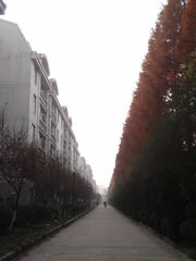 PC07488320131209003601