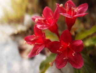 PC07481520131209004109