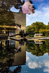 _DSC9013