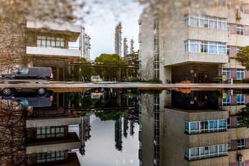 _DSC8582