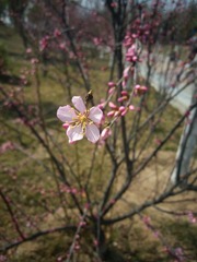 20180325_132832(1)