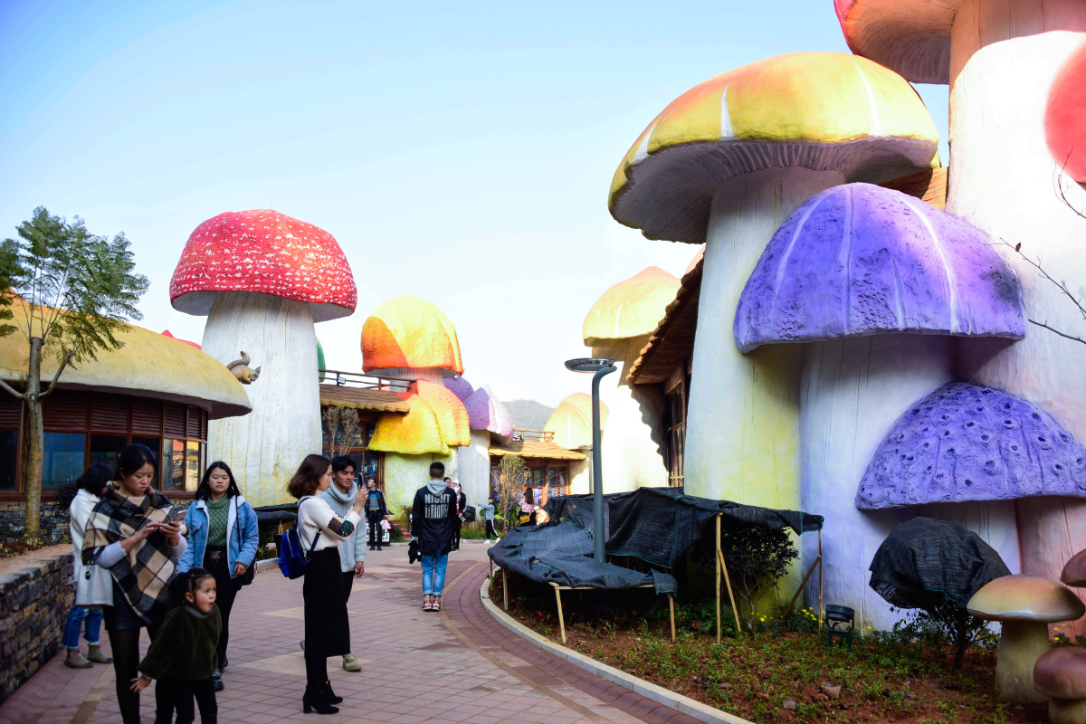 "蘑菇街"童话生活 - 朝富 - 图虫网 - 优质摄影师交流社区
