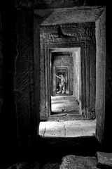 _DSC5473H