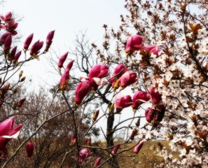 20160328_113007_