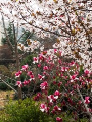 20160328_142252