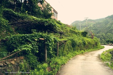 小路