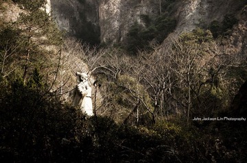 「印象温州」朝阳 雁荡山 徐霞客