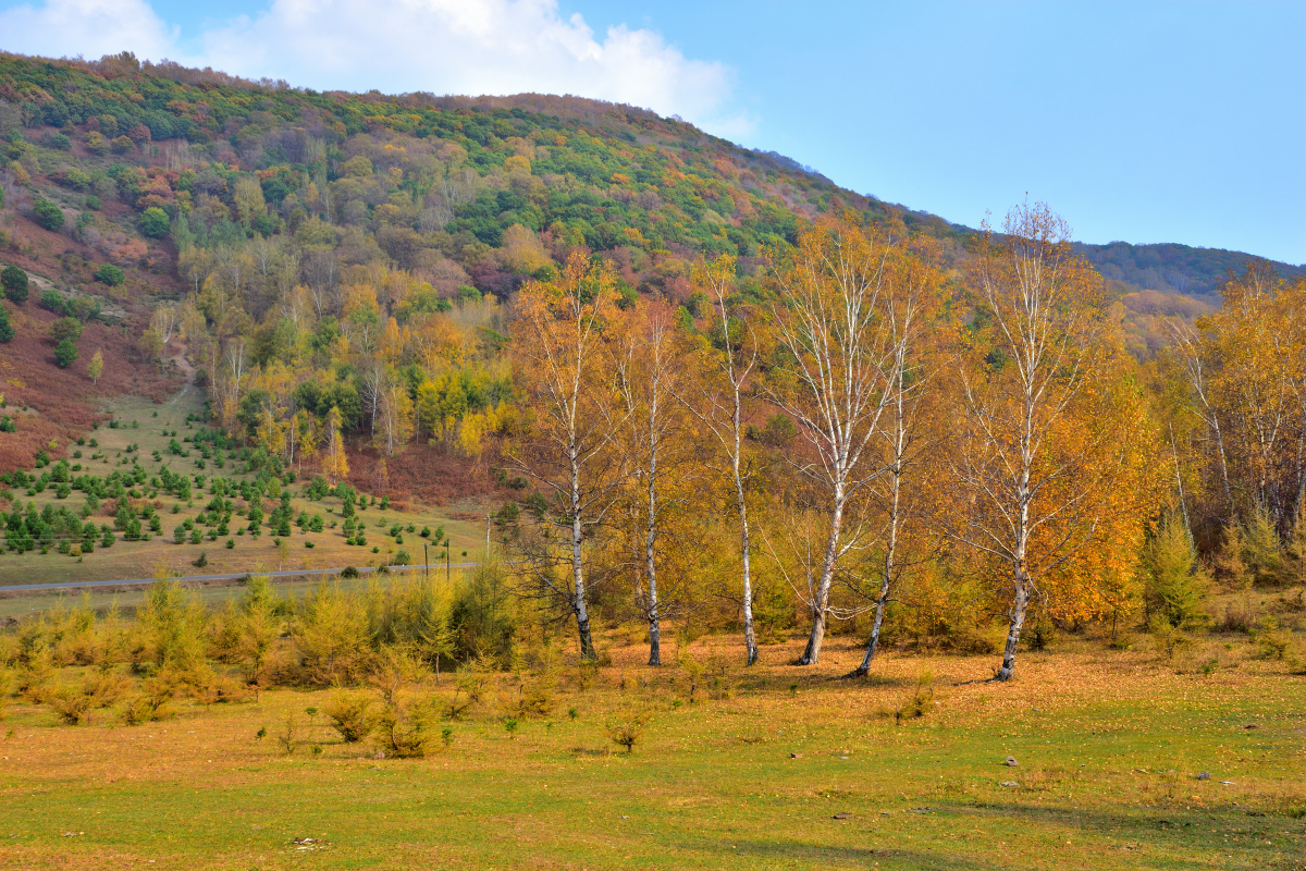 内蒙古赤峰市喀喇沁旗美林谷秋意正浓