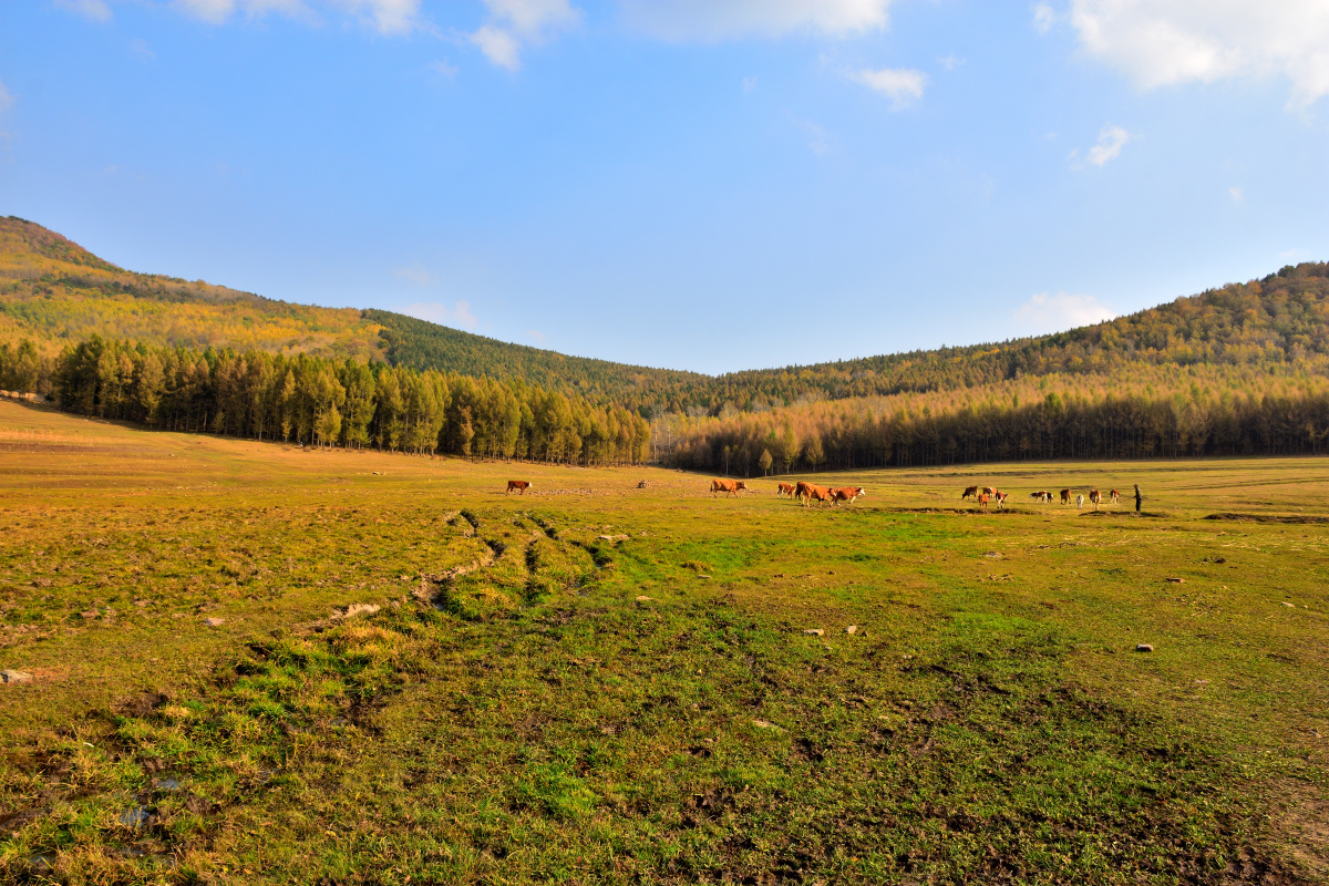 内蒙古赤峰市喀喇沁旗美林谷秋意正浓