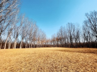 A989A98A-E034-408C-8D73-B209B4E97725/L0/001