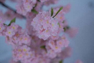 EF520B5F-C4DE-47AC-83D0-CA9D4BFD094B/L0/001