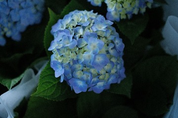 9123CF97-D957-4EDC-BD61-EBBCF83935C2/L0/001