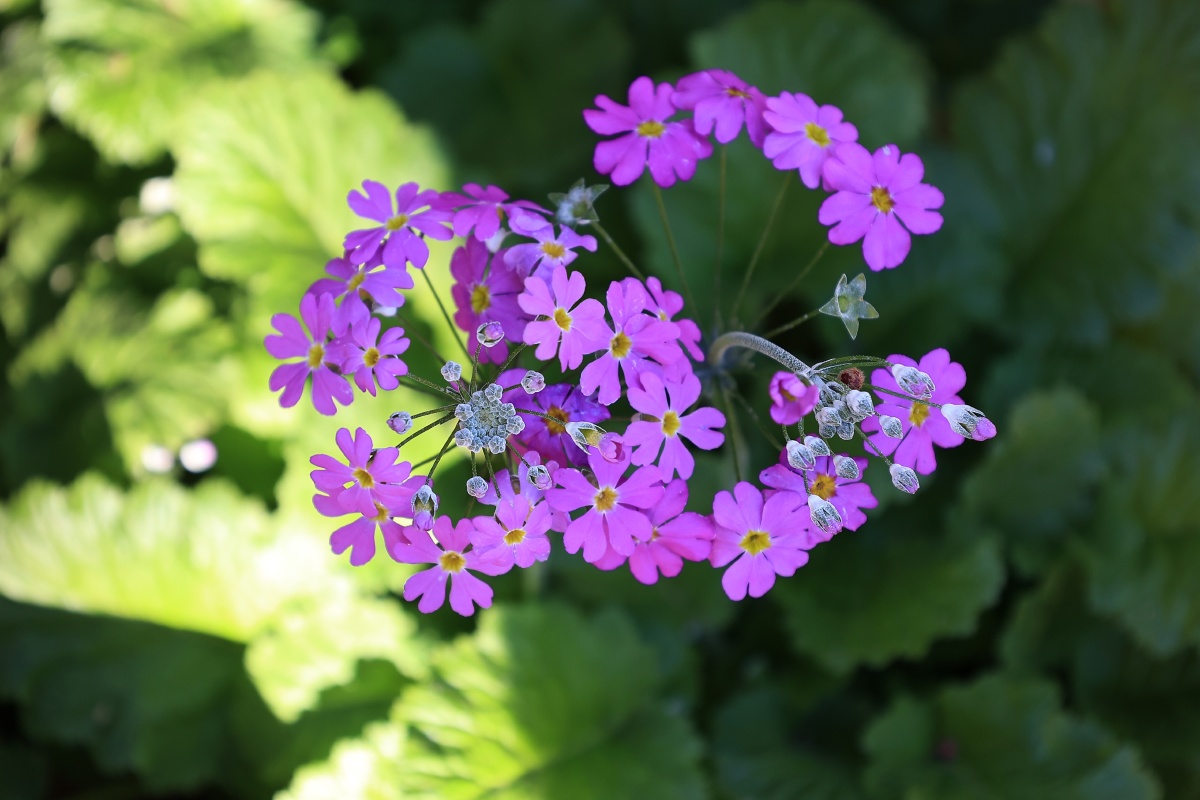 佳能r6直出公园试拍