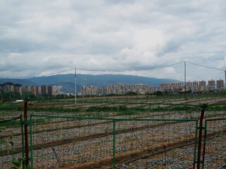 176836
