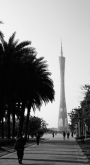 C5499265-F00D-49EC-8610-DABC88D7FE0D/L0/001