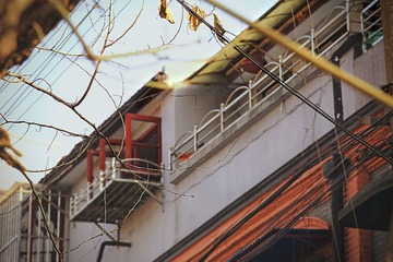CK5A4961