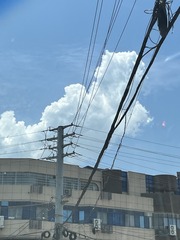 E162D82C-92EB-4C8B-822C-6445CB9CA433/L0/001