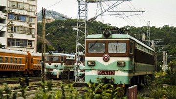 55446