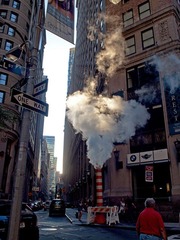 The New York City