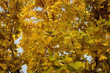 PB066429.jpg