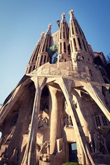 P5268895.jpg