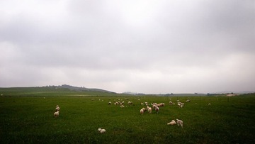 P7079999.jpg