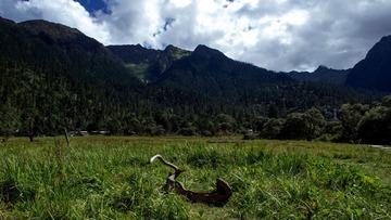 P9061882.jpg