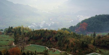 IMG_0959_