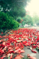 2011-04-30s