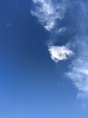 1000007964