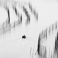 _IMG5106