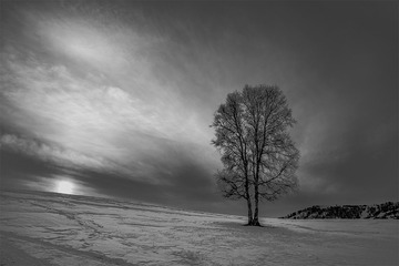 _IMG9010-11