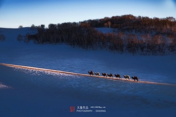 _IMG1780AA