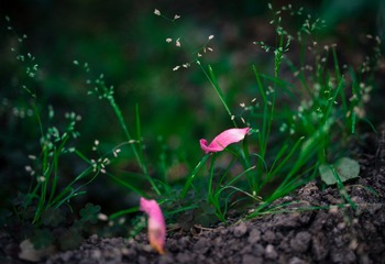 _DSC0853