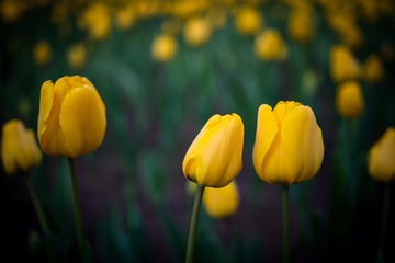 _DSC0757