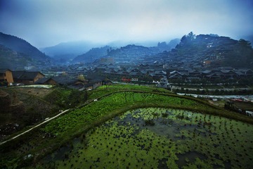 西江千户 (6).jpg