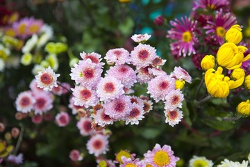 20110204001