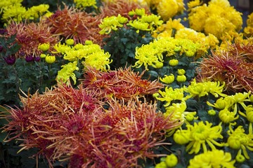 20110204002
