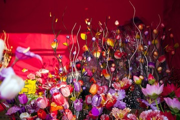 20110204006