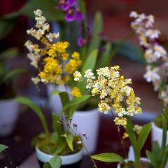 20110204008