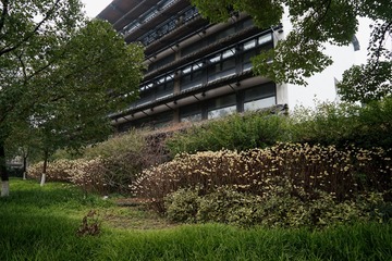 DSC01782_