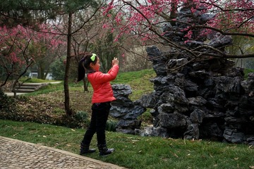 DSC01481_