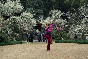 DSC01660_