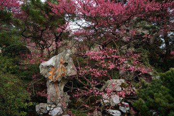 DSC01555_