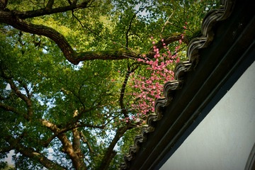 DSC00309_